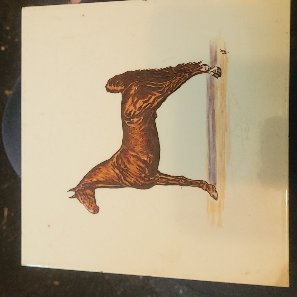Horse theme tile